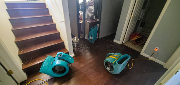  Virden, IL Water damage restoration Pros