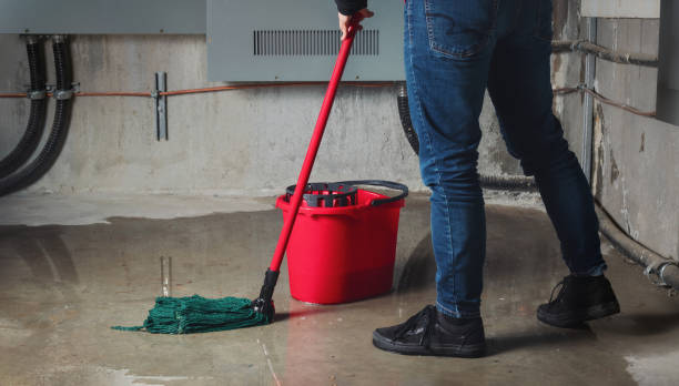 Best Flooded house restoration  in Virden, IL