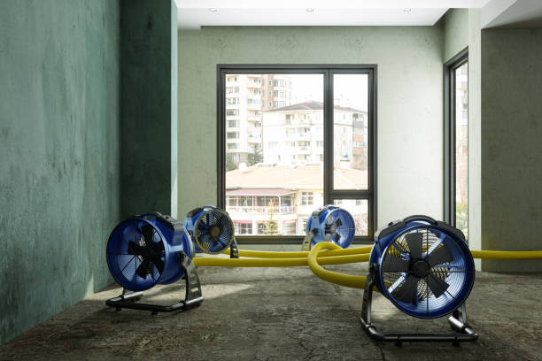 Best Ceiling water damage repair  in Virden, IL